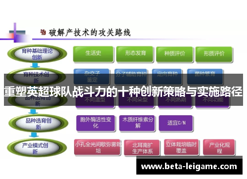 重塑英超球队战斗力的十种创新策略与实施路径