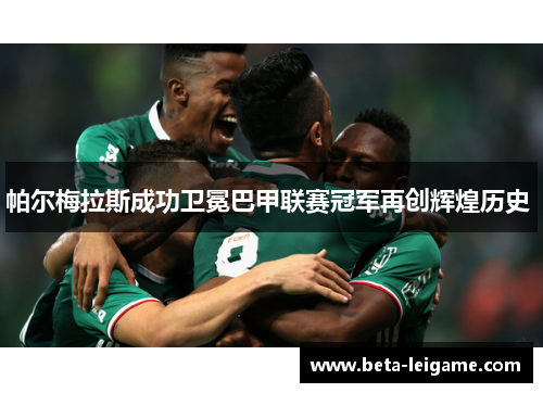 帕尔梅拉斯成功卫冕巴甲联赛冠军再创辉煌历史 